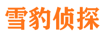 静宁外遇出轨调查取证